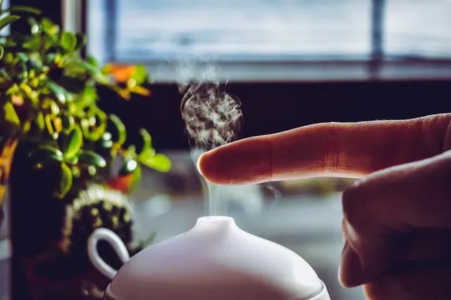 Dyfuzor do aromaterapii – w czyim domu powinien się znaleźć?