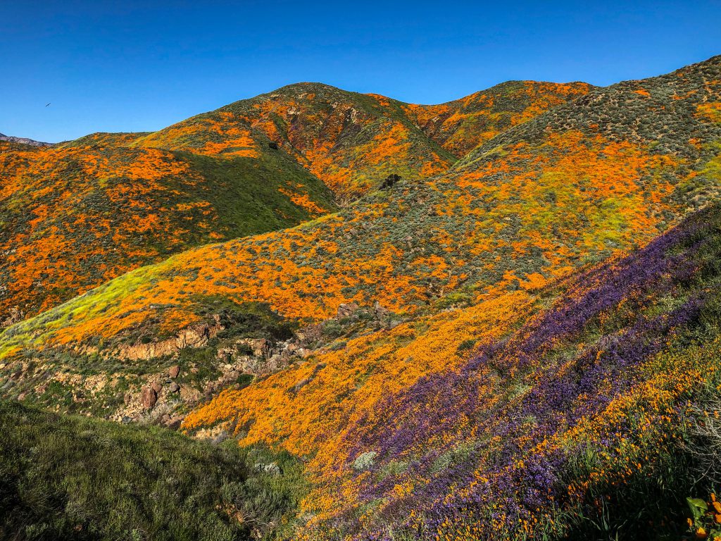 jelenia góra co zobaczyć