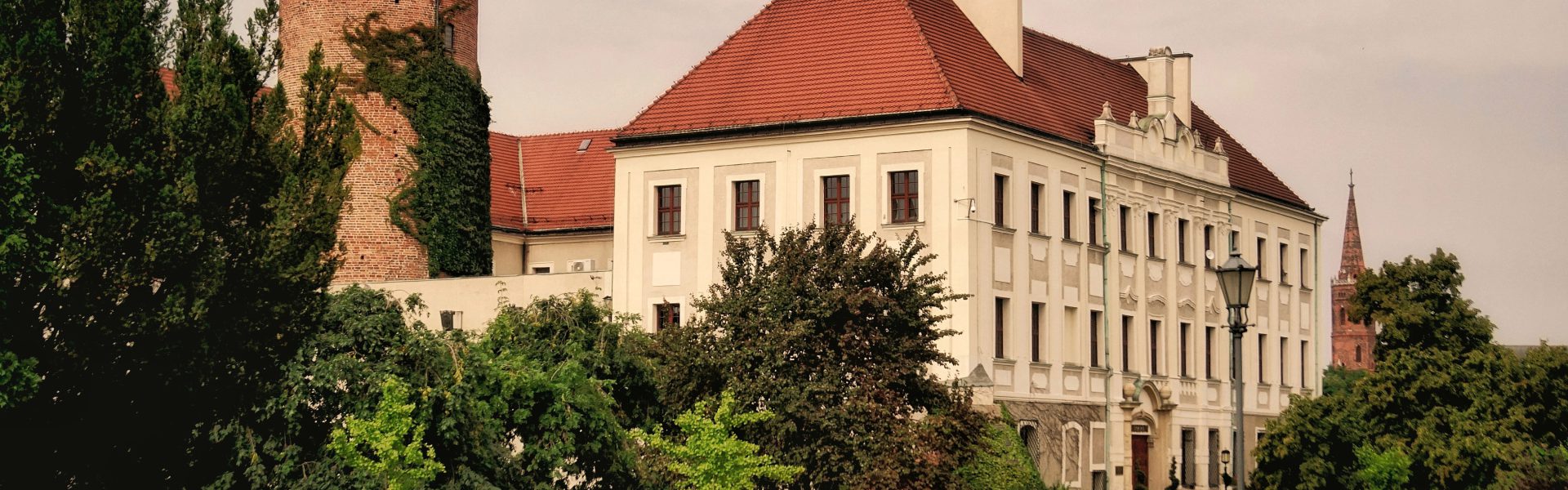 jakie zwierzęta znajdują się w herbie głogowa