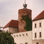 głogów jakie województwo