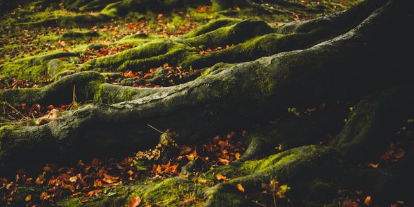 Kudowa-Zdrój