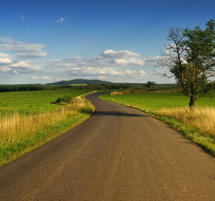 świdnica jakie województwo